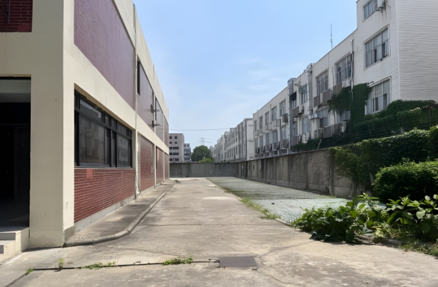 上海浦东外高桥独栋出售！独院双层厂房写字楼，商机无限