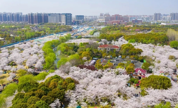 上海宝山双地铁上盖！2500㎡带租约独栋，顾村公园旁核心投资