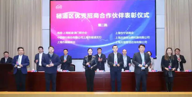 关于印发《深入推动杨浦区投资促进工作发展的若干举措》的通知
