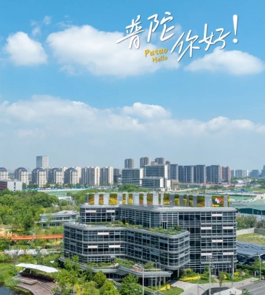 关于印发《普陀区促进质量提升实施意见》的通知