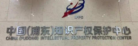 浦东新区人民政府关于印发《浦东新区促进知识产权运用若干规定》的通知
