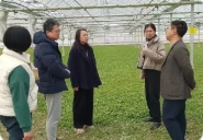 关于印发《2025年崇明区地产农产品质量安全监管工作方案》的通知