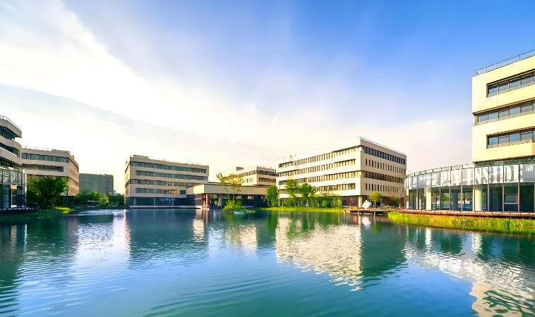 上海市闵行区浦江镇招商引资投资指南：企业投资选址决策解析