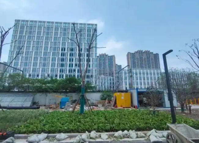 上海徐汇区枫林国际汇创谷招商中心招商租赁综合评估报告：企业选址决策深度分析