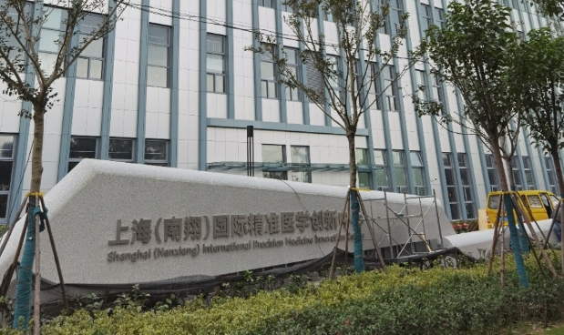 上海嘉定区上海南翔国际精准医学创新中心招商中心招商租赁综合评估报告：企业选址决策深度分析